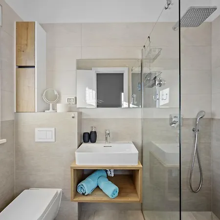 Sea View Penthouse Istra *